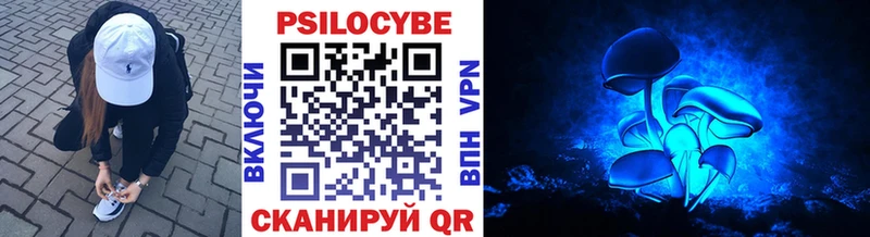 KRAKEN зеркало  Астрахань  Галлюциногенные грибы Cubensis 